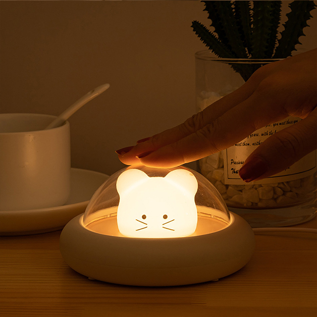 Portable Usb Lighting Lightness Acrylic Modern Cute Small Led Bedside Decorative Desk Lamp Night Lights