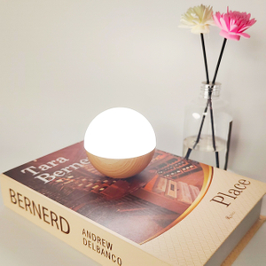 Amazon hot selling simple modeling fashion modern plastic clip led reading work learning desk lamp